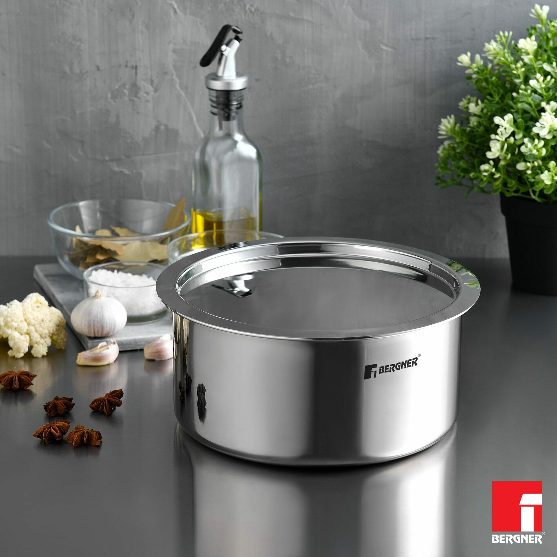 Bergner Triply Stainless Steel Tope with Stainless Steel Lid, Silver